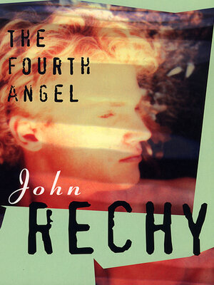 cover image of The Fourth Angel